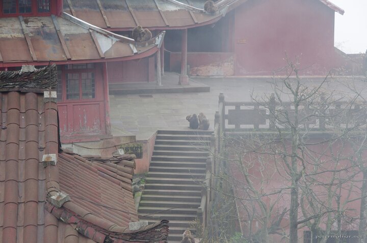 Elephant Bathing Pool - Xixiangchi Monastery