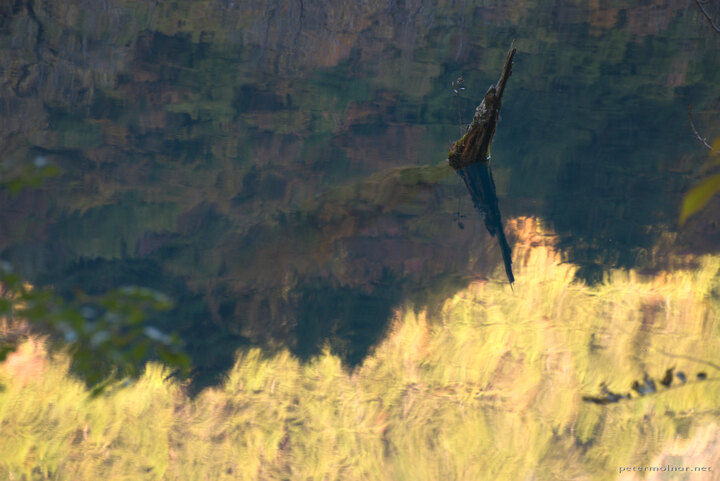 Jiuzhaigou: reflections in Rhinoceros Lake